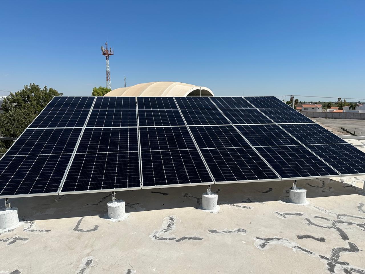 WhatsApp Image 2026-02-18 at 5.58.14 PM